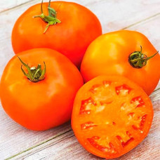 Насіння інкрустованого томата Апельсин 2 г
