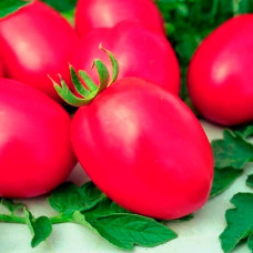 Насіння інкрустованого томата Де-Барао рожевий 3 г