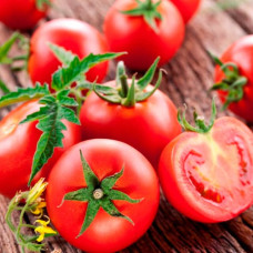 Семена инкрустированного томата Санька  0,25 г