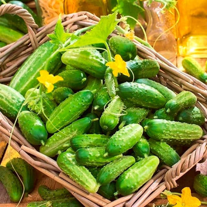 Насіння огірка Паризький корнішон 0,5г