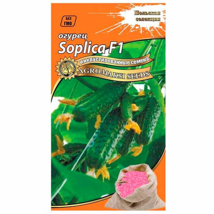 Насіння інкрустованого огірка Soplica F1 5 г
