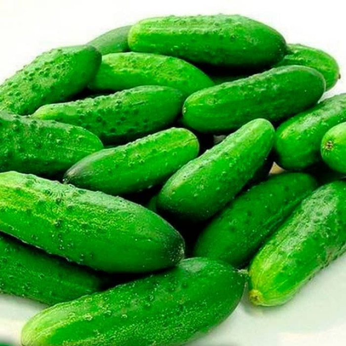 Насіння інкрустованого огірка Андрус F1 5 г