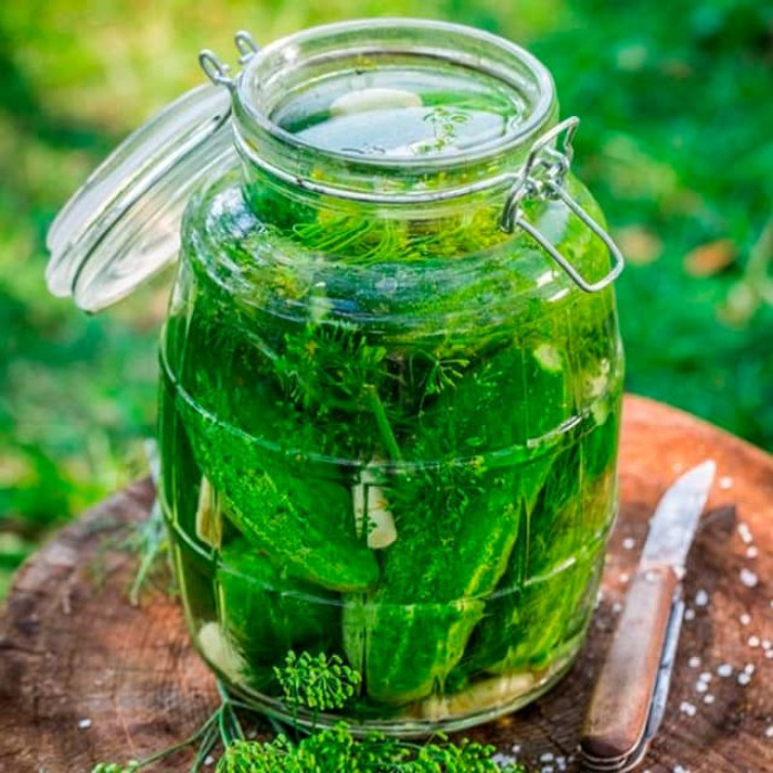 Насіння інкрустованого огірка Вісконсін F1 5 г