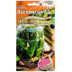 Насіння інкрустованого огірка Вісконсін F1 5 г