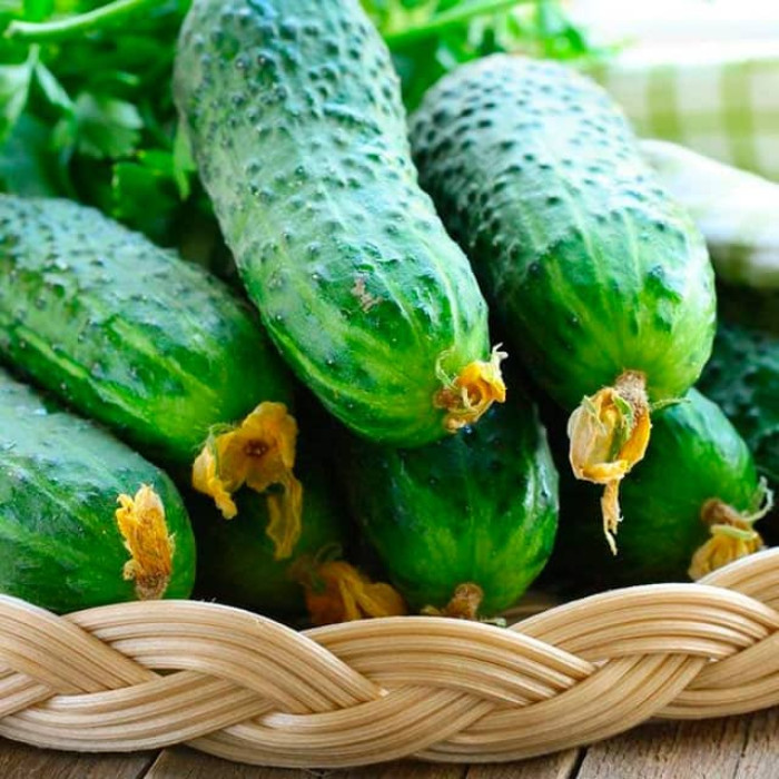 Насіння інкрустованого огірка Полан F1 5 г