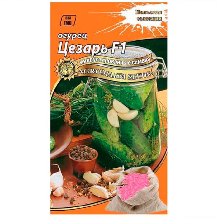 Насіння інкрустованого огірка Цезар F1 