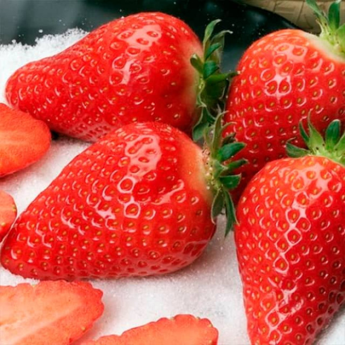 Саженцы ранней клубники «Альба»