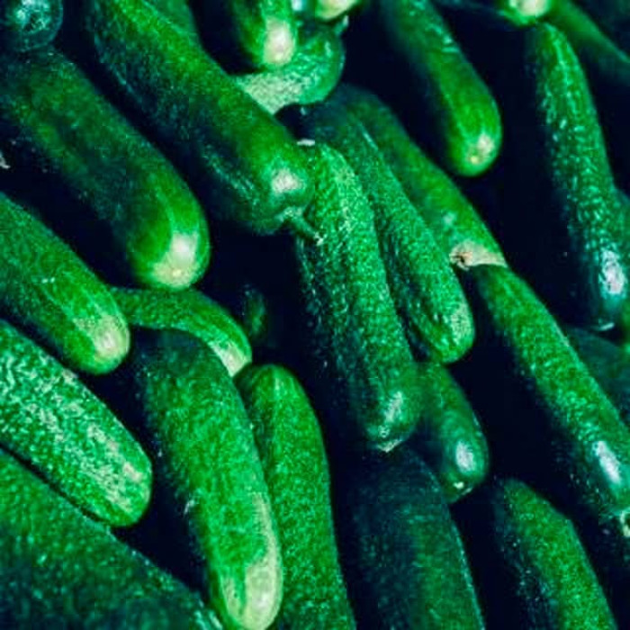 Семена партенокарпического огурца «Бабушкин гостинец F1» 0,25 г