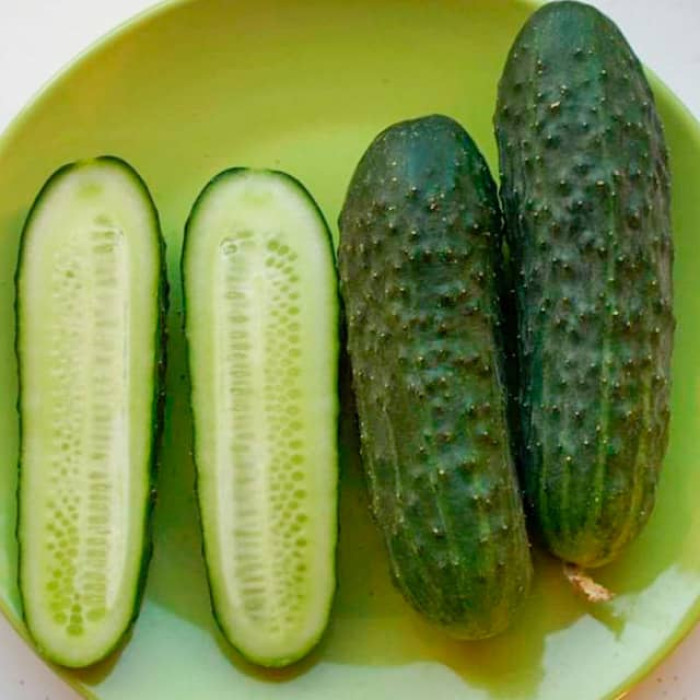 Семена партенокарпического огурца «Маша F1» 8 семян