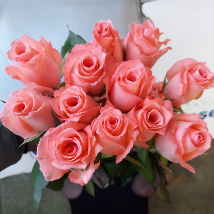 Саджанці чайно-гібридної троянди «Нобіліс»