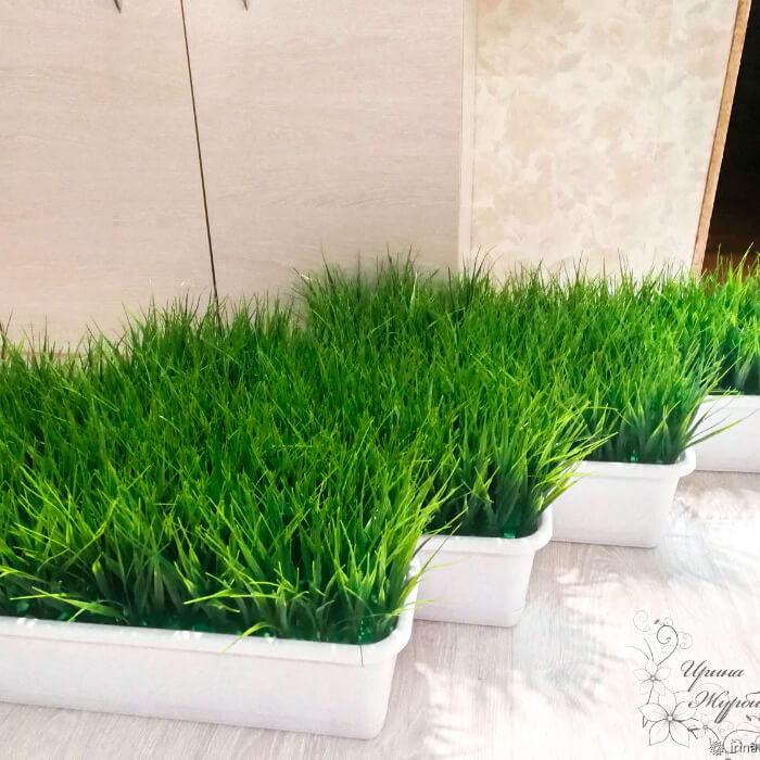 Насіння зелені для цуценят «Лессі»