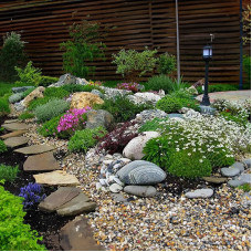 Смесь семян цветов «Альпийская горка» 0,5 г