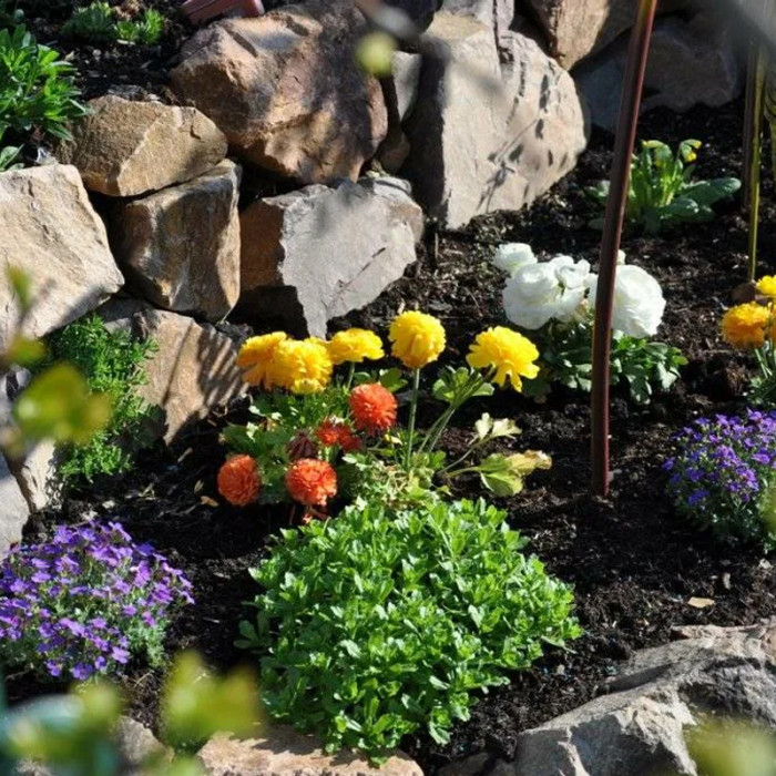 Смесь семян цветов «Альпийская горка» 0,5 г