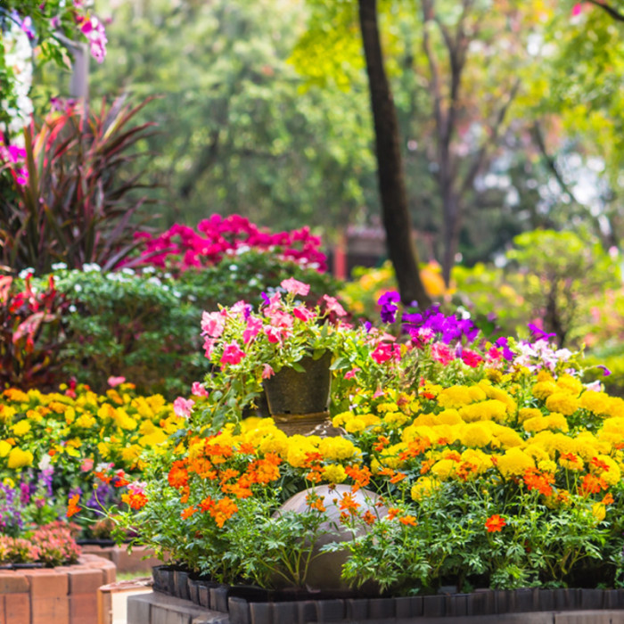 Смесь семян цветов «Беседка» 2 г