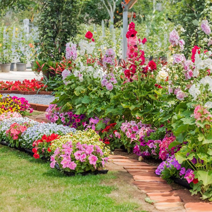 Смесь семян цветов «Беседка» 2 г