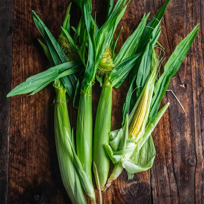 Насіння кукурудзи «Бебі корн»