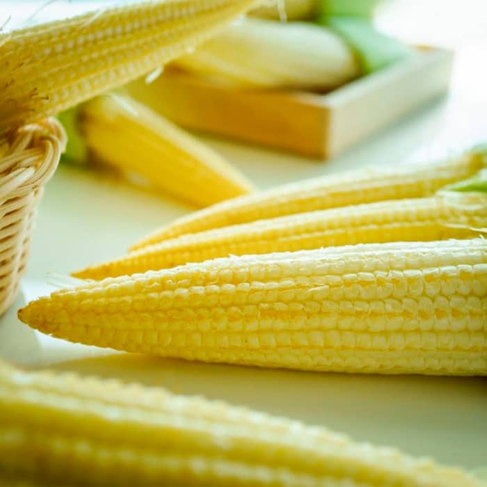 Насіння кукурудзи «Бебі корн»