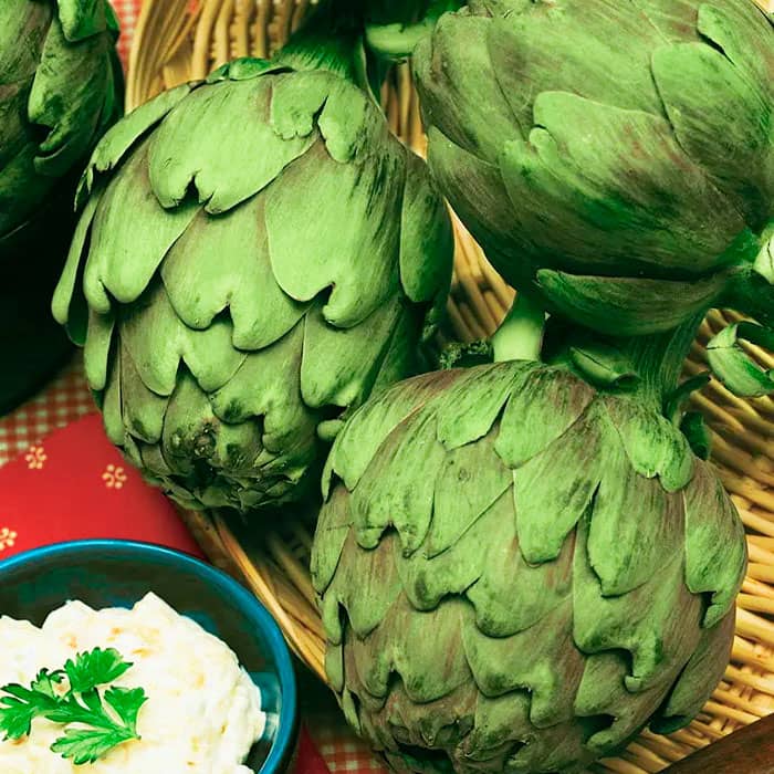 Насіння артишоку «Грін Глоуб»