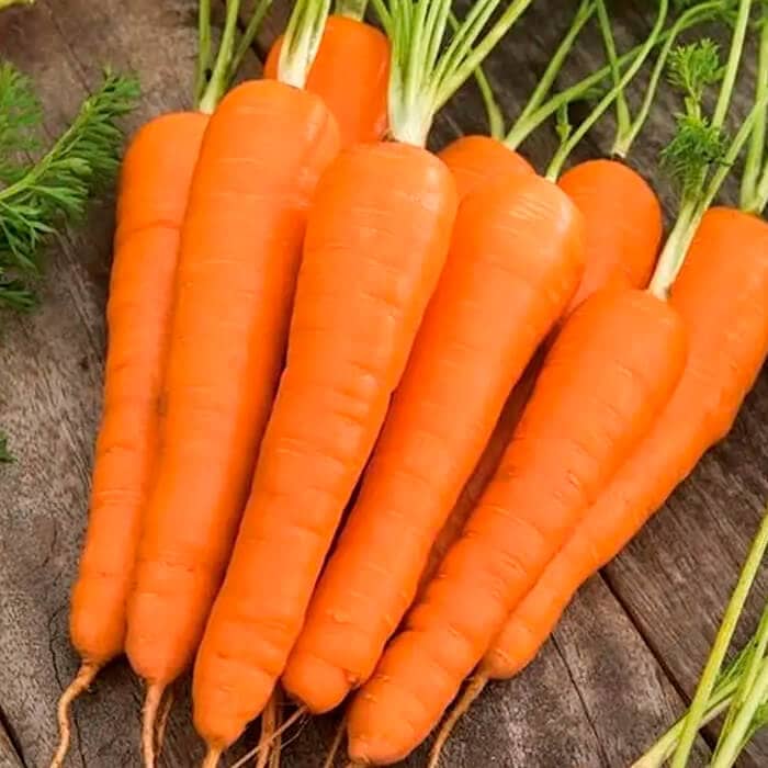 Насіння моркви «Корал»