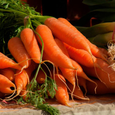 Насіння пізньостиглої моркви «Без серцевини» 6 г