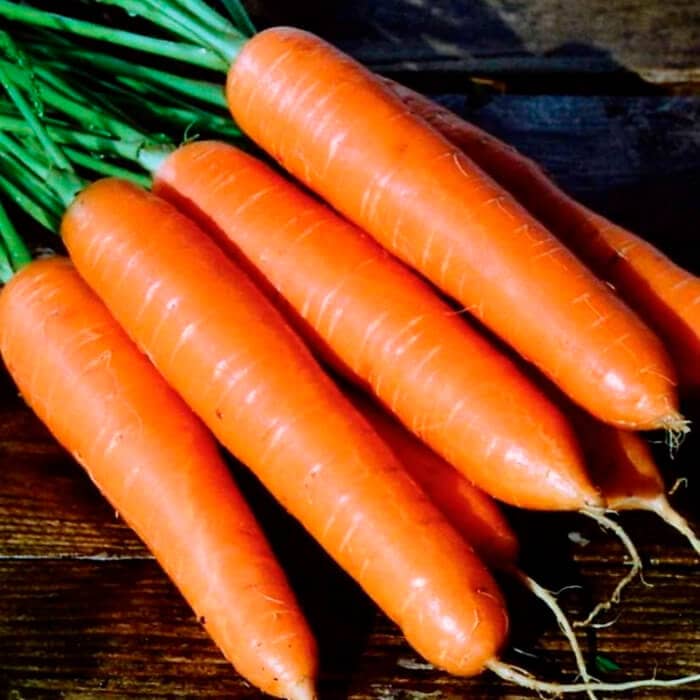 Насіння моркви «Роте Різен»