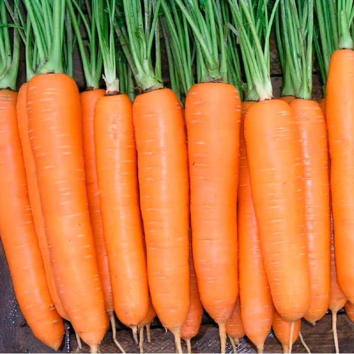 Насіння моркви «Віта Лонга»