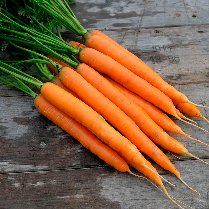 Насіння середньоранньої моркви «Яскрава» 3 г