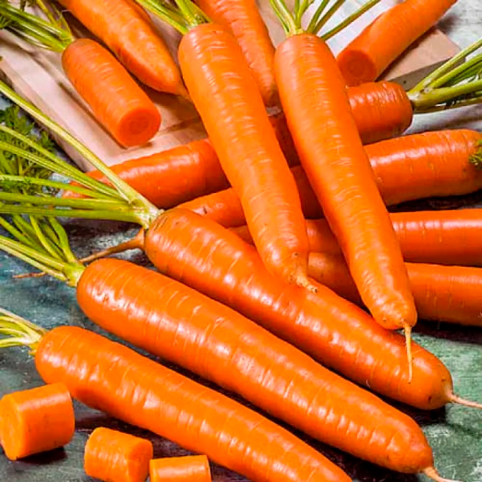 Насіння середньоранньої моркви «Яскрава» 3 г