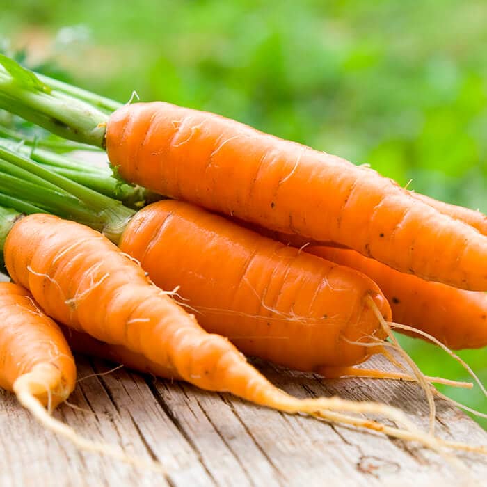 Насіння моркви «Амстердам»