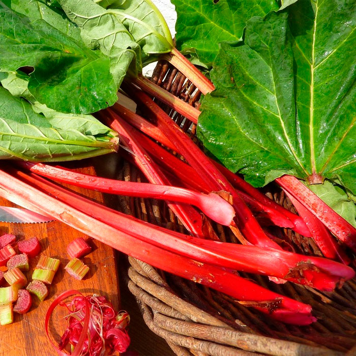 Насіння ревеню «Лідер»