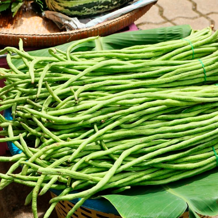 Насіння вігни «Шарлотта»