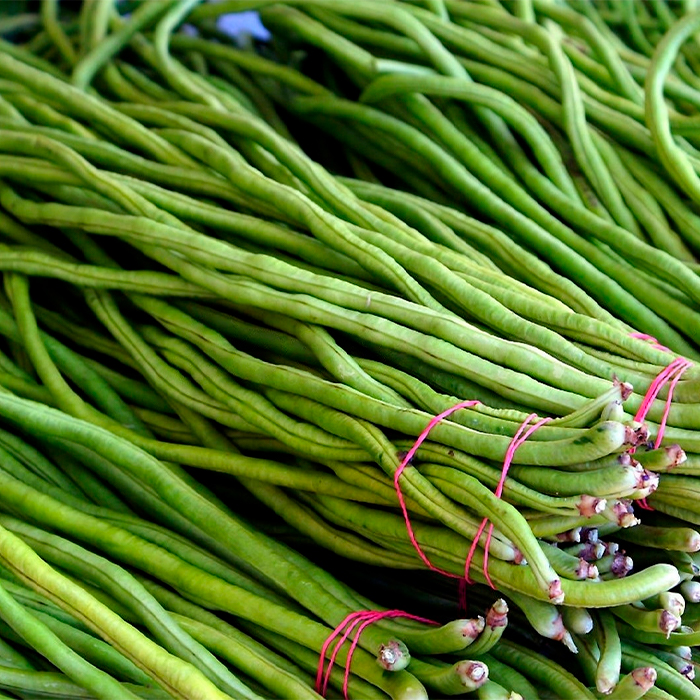 Насіння вігни «Шарлотта»