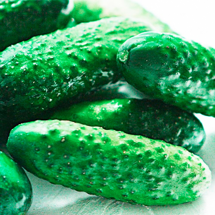 Семена партенокарпического огурца «Беби Мини F1» 10 шт