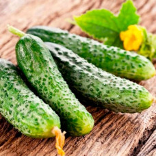 Насіння огірка «Джерело»