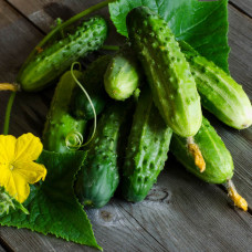 Насіння огірка «Веселі метелики»
