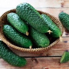 Насіння бджолозапильного огірка «Паркер F1» 10 насінин