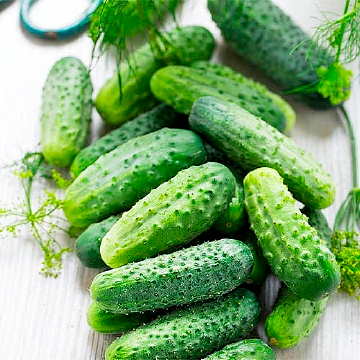 Насіння бджолозапильного огірка «Виноградне гроно F1» 0,5 г