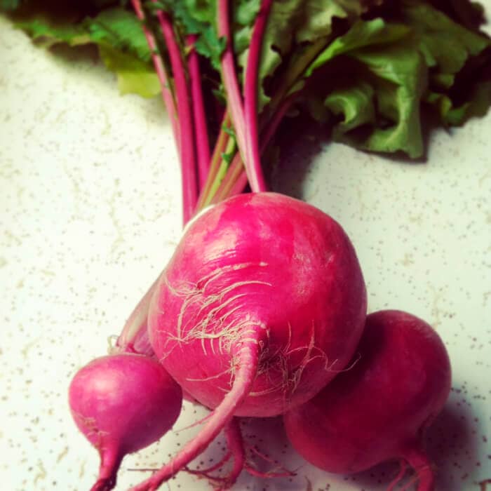 Насіння редьки «Червона зимова»