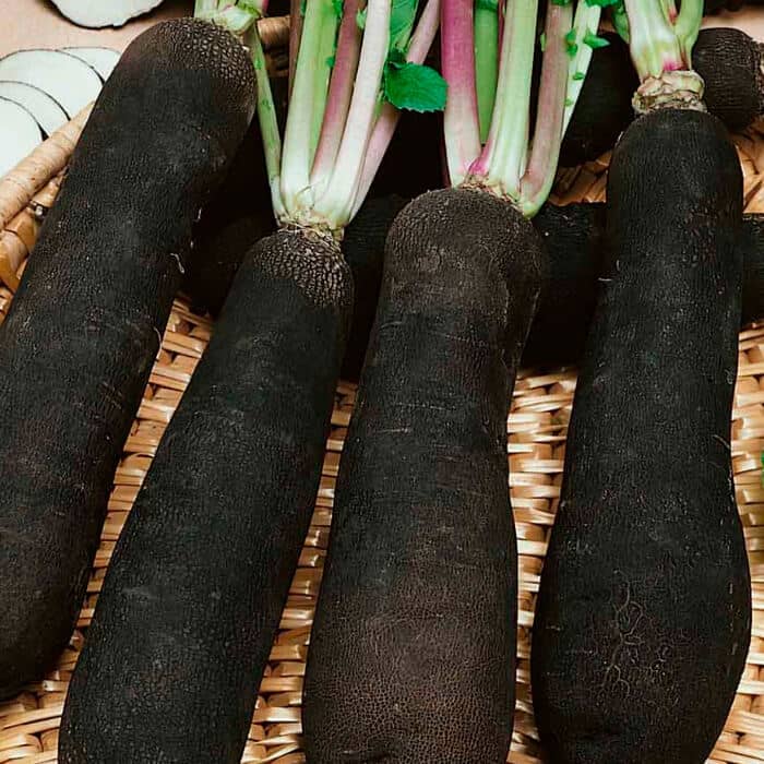 Насіння редьки «Чорна циліндра»