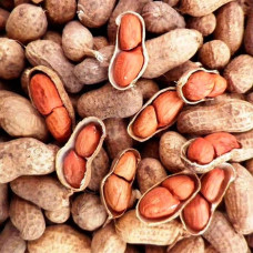 Насіння арахісу «Валенсія українська» 