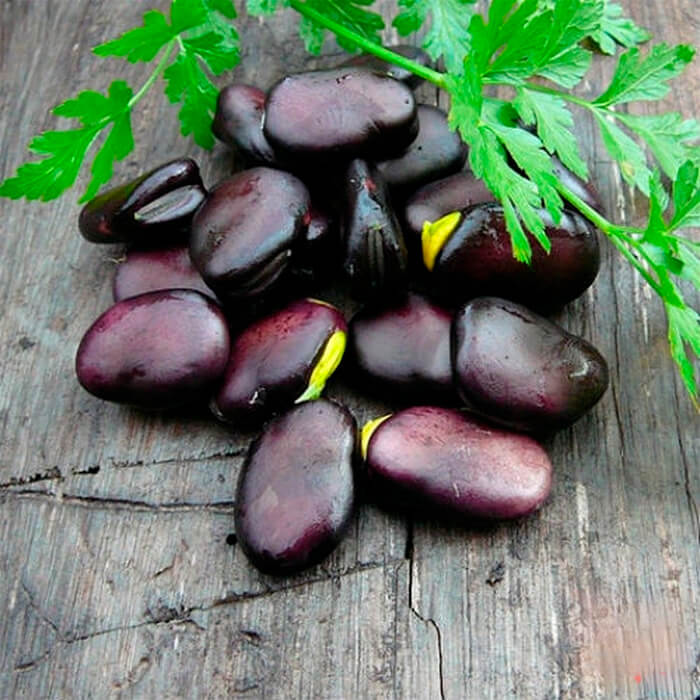 Насіння бобів «Екстра Грано Віолетто»
