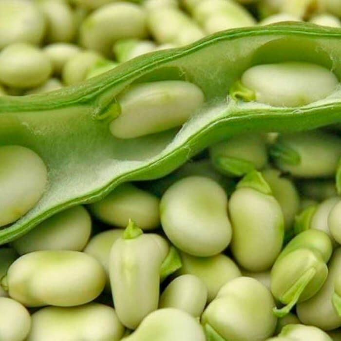 Насіння бобів «Тричі білі»