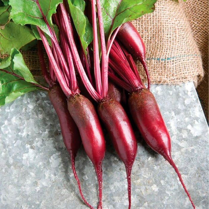 Насіння середньораннього буряка «Реваль» 20 г