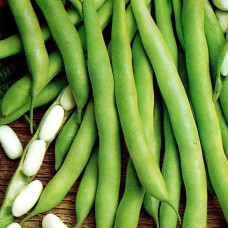 Насіння квасолі «Файний Ясь»