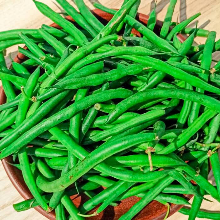 Насіння квасолі «Монтана»