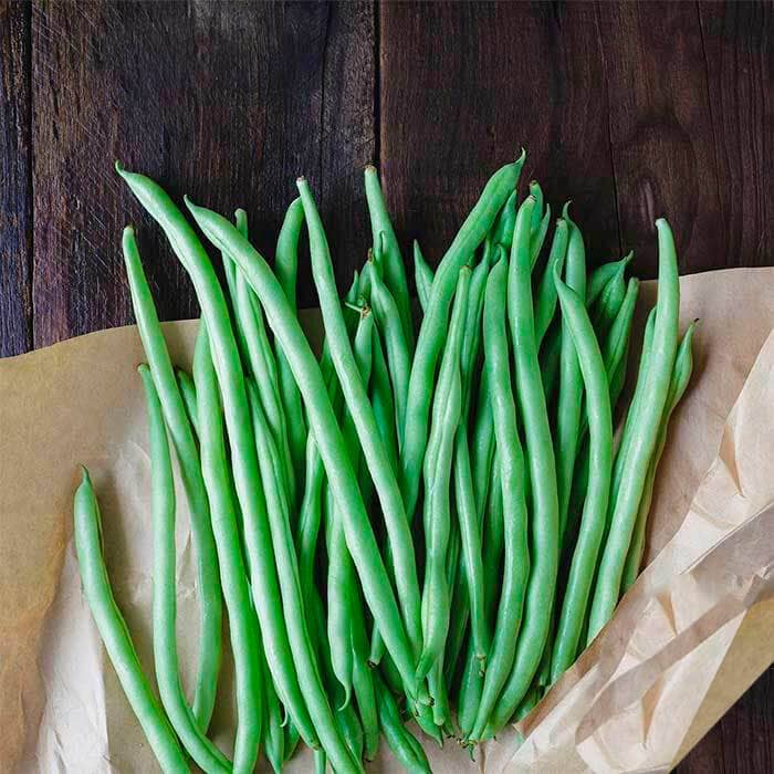 Насіння квасолі «Монтана»