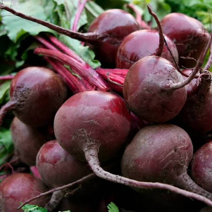 Насіння буряка «Мулатка»