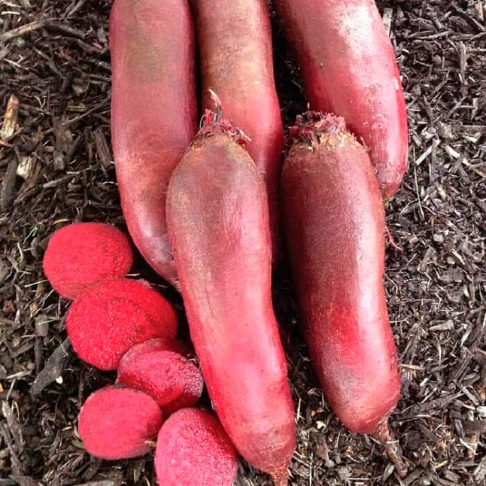 Насіння буряка «Торпедо»