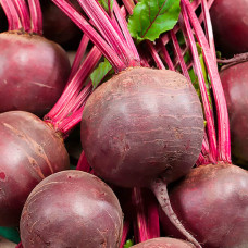 Насіння середньопізнього буряка «Детройт» 3 г