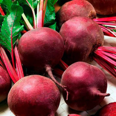 Насіння середньораннього буряка «Мармеладка» 3 г